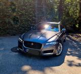 Jaguar XF 25d AWD 241PS PORTFOLIO (Premium-Variante) - Jaguar XF: 2.2
