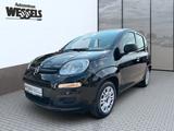 Fiat Panda Urban - gebrauchte Fiat Panda aus dem Jahr 2021