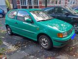 Volkswagen VW polo 6n - gebrauchte VW Polo aus dem Jahr 1997