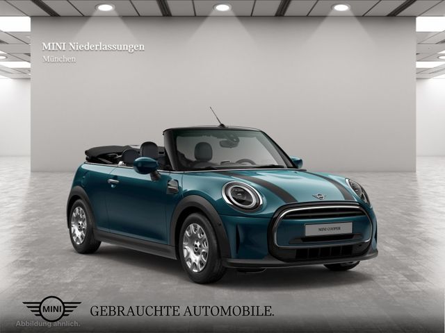 MINI Cooper Cabrio Navi Head-Up Kamera Driv.Assist