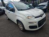 Fiat Panda 1.2 Pop * Zahnriemen gewechselt! * - Fiat Panda: Pop
