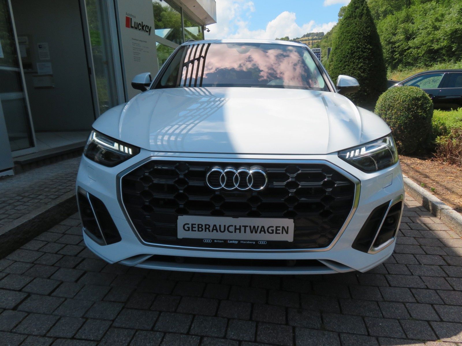 Audi Q5 SUV S line 3.0 TDI Adaptive AIR Pano AHK MATR foto 13