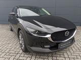 Mazda CX-30 2.5l (140PS) Takumi Leder Schwarz Bose Nav - Mazda CX-30 Gebrauchtwagen