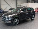 Skoda Karoq 2.0 TDI SCR DSG Style 8-fach - Skoda Karoq in Mannheim