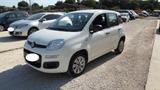 Fiat Panda 1.2 Trussardi - Fiat Panda TRUSSARDI