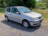 Volkswagen VW Polo 6N 1.4l - Volkswagen Polo aus 2000: 1.4