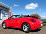 Volkswagen Beetle Cabriolet 1.2 TSI Design SHZ 1. Hand - Volkswagen Beetle: Rot, Cabrio