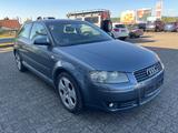 Audi A3 1.6 Ambition*LPG*Klimaaut.*Sitzhzg - Audi A3 aus 2003: 1.6