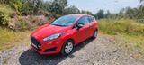Ford Fiesta 1,25 44kW Ambiente (Gepflegter Zustand!) - Ford Fiesta: 44 Kw