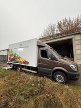 Mercedes-Benz Sprinter 316 CDI Koffer + Ladebordwand - Mercedes-Benz Sprinter 316 cdi