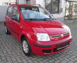 Fiat Panda 1.2 8V Dynamic - Fiat Panda: Rot