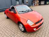 Ford Streetka Basis Roadster Cabrio Technisch 1 A - Ford aus 2004