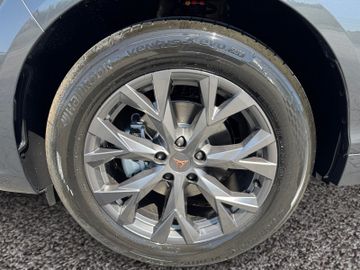 Cupra Terramar - 8