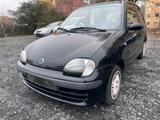 Fiat FIAT Seicento 1.1 - gebrauchte Fiat Seicento aus dem Jahr 2002
