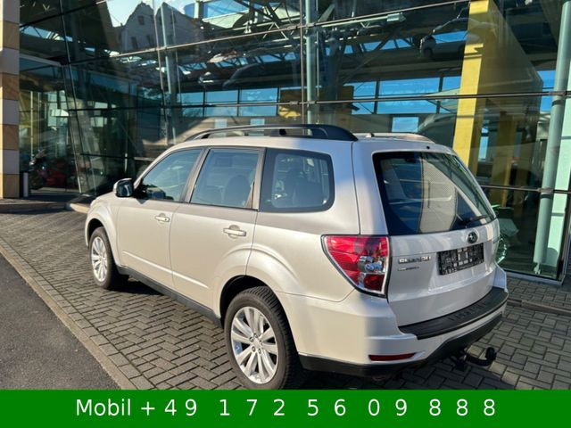 Subaru Forester Comfort Autom 4x4 AHK Xenon Kamera GSD