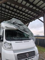 Carado T447 - Offers