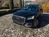 Audi Q2 40 TFSI quattro S tronic line Edition-Ga - Audi Q2 GA mit Benzin-Antrieb