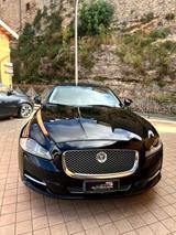 Jaguar JAGUARXJ3.0DV6PremiumLuxury - Jaguar XJ aus 2010