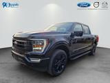 Ford F-150 V8 Black Edition Lariat deutsche Ausführun - New cars: Deutsche