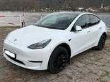 Tesla Model Y Long Range Dual Motor AWD Long Range