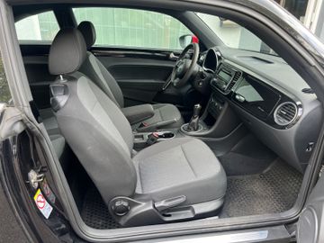 Volkswagen Beetle - 8