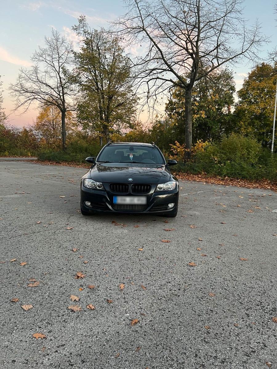 BMW 330 2006 — вигляд ззаду