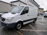 Mercedes-Benz Sprinter 313 2.2 CDI LKW KAS... - Mercedes-Benz Sprinter aus 2010: 313