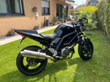 Suzuki SV650 in Traum-Zustand! LSL | Storm | Stahlflex - Angebote