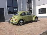 Volkswagen Käfer Tüv neu - Volkswagen Käfer: Grün