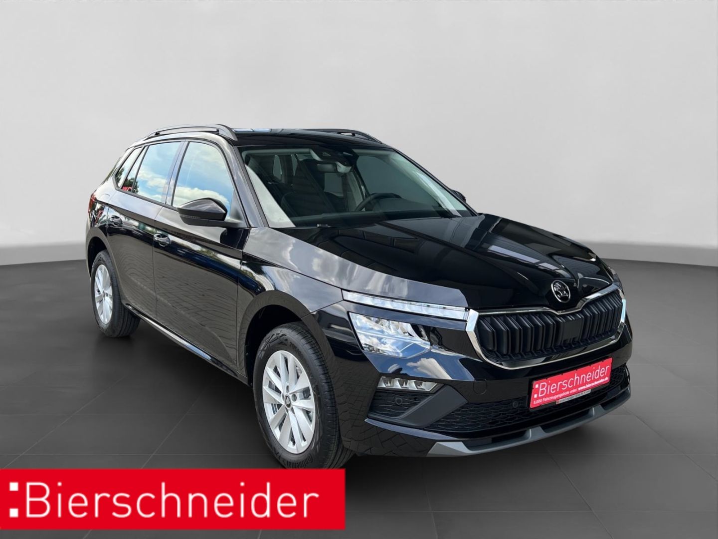 Skoda Kamiq - Bild 9