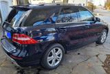 Mercedes-Benz ML 500 4MATIC - - Mercedes-Benz ML 500: 4matic