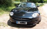 Jaguar XK 4.2L V8 Cabriolet - Vollausstattung   - Jaguar XK von privat