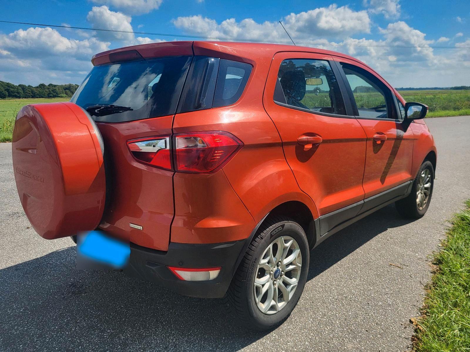 Ford EcoSport 2015 — фото 5