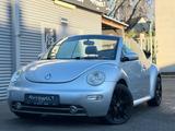Volkswagen New Beetle Cabriolet 1.6 Highline *LEDER*SHZ*JBL - Volkswagen New Beetle in Aachen