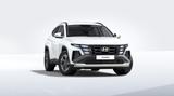Hyundai Tucson 1.6 T-GDI Family Navi Kamera PDC - Hyundai TUCSON Neuwagen mit Benzin-Antrieb