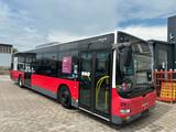 MAN A21 Lions City Klima 32Sitz - MAN Reisebus Lion
