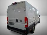 Fiat Ducato Kasten 180 L4H2 Multijet ACC/RFK/Facelift - Angebote