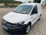 Volkswagen VW Caddy 2.0 D. Kastenwagen - Volkswagen Caddy: Kastenwagen