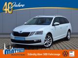 Skoda Octavia 1.6 TDI Clever LED/17-ZOLL/NAVI/BUSINESS - Skoda Octavia: 1.6