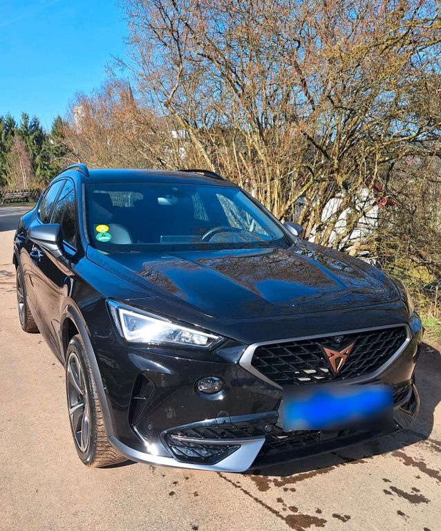 Image of Other Other