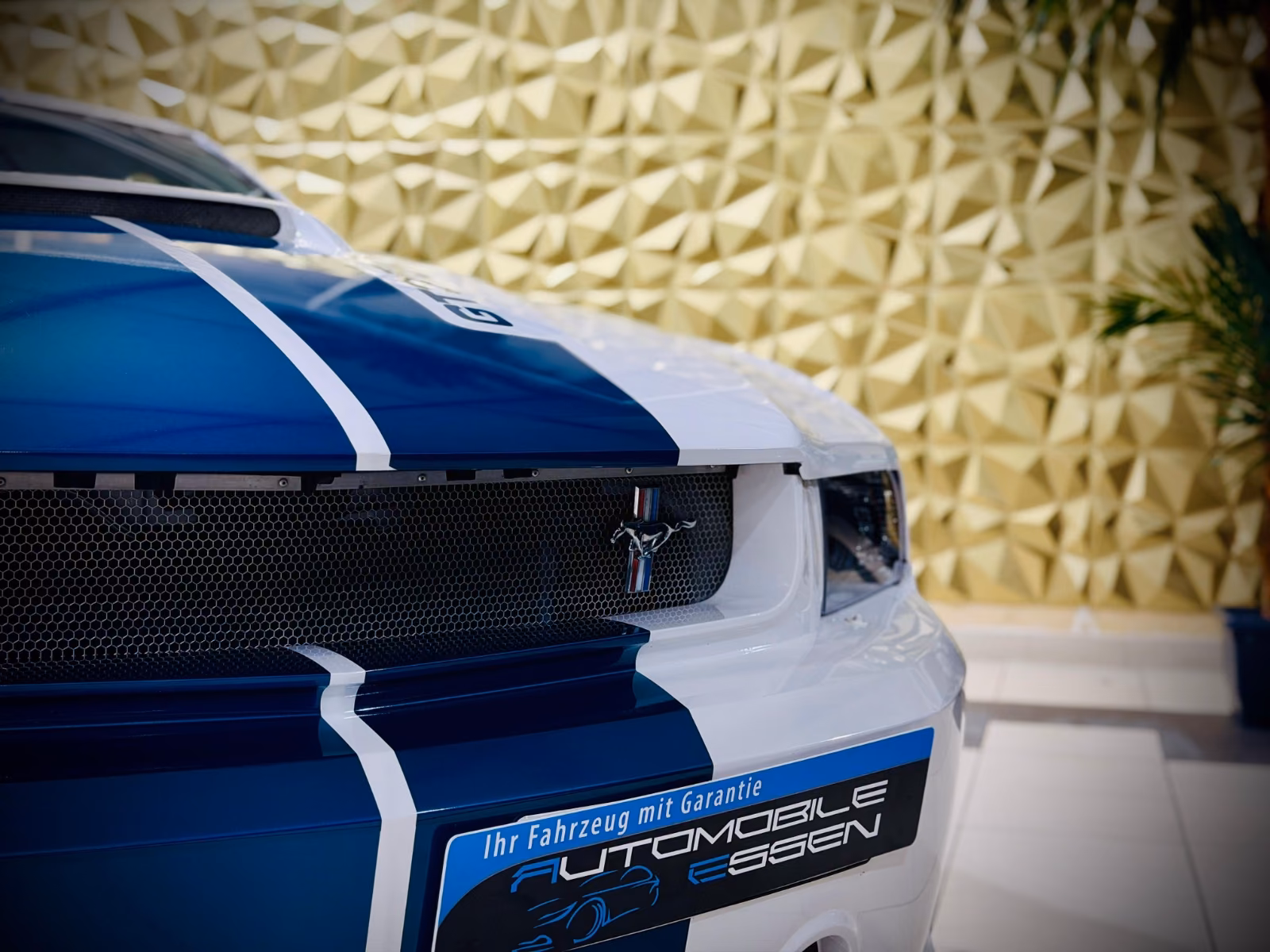 Ford Mustang Shelby American GT 350|624PS|CSM|SAMMLER