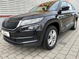 Skoda Kodiaq Active 7 Sitze - Skoda Kodiaq: Active