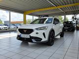 Cupra Formentor VZ 4Drive Panorama Beats-Sound Brembo - Cupra Formentor Gebrauchtwagen
