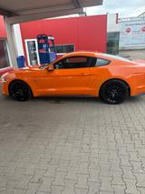Ford Mustang 5.0 Ti-VCT V8 GT Auto GT  - Ford Mustang Gebrauchtwagen in Wuppertal