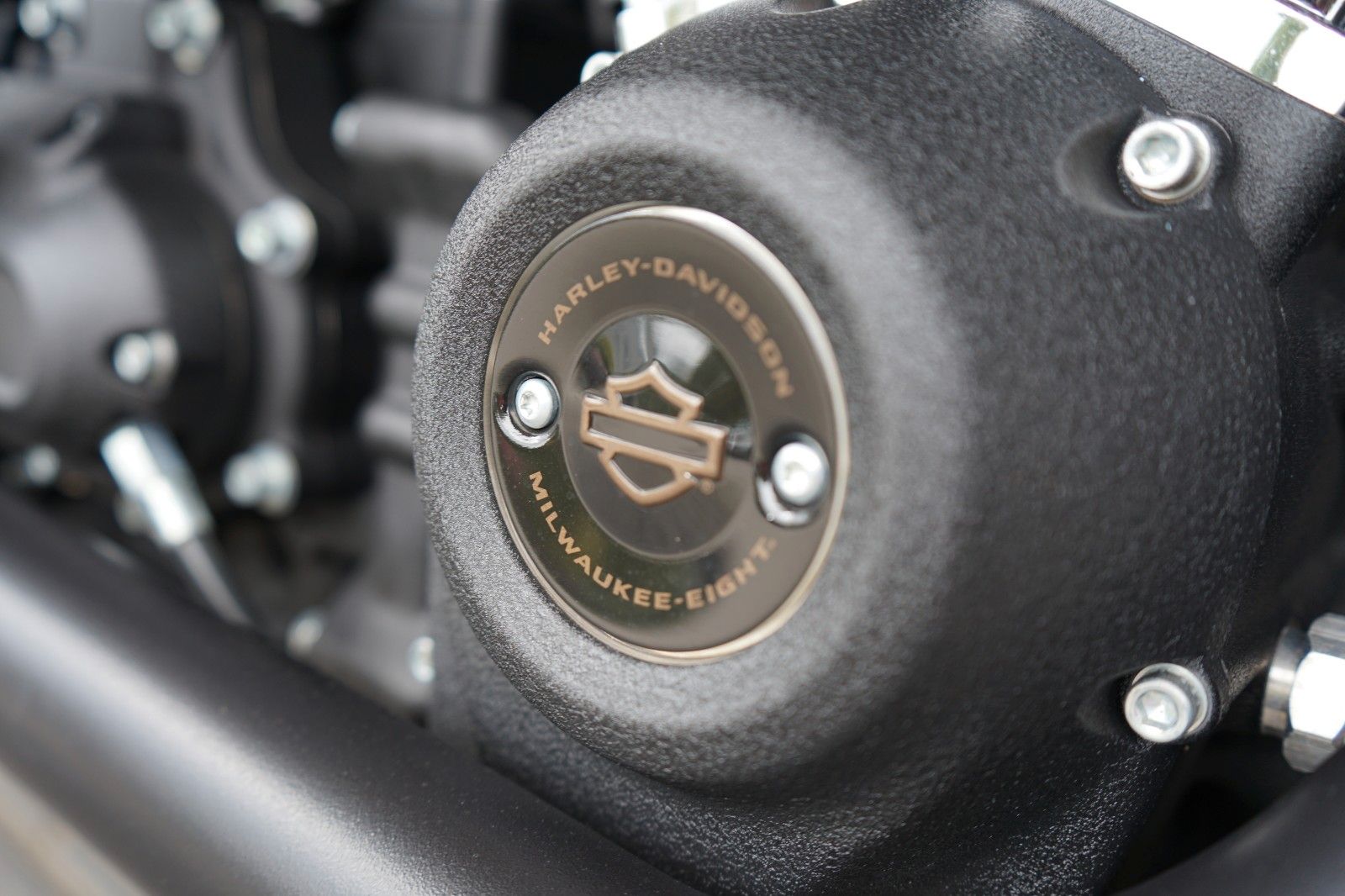 Fahrzeugabbildung Harley-Davidson Low Rider S FXLRS mit Saddlemen