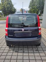 Fiat Panda - Fiat Panda: Blau