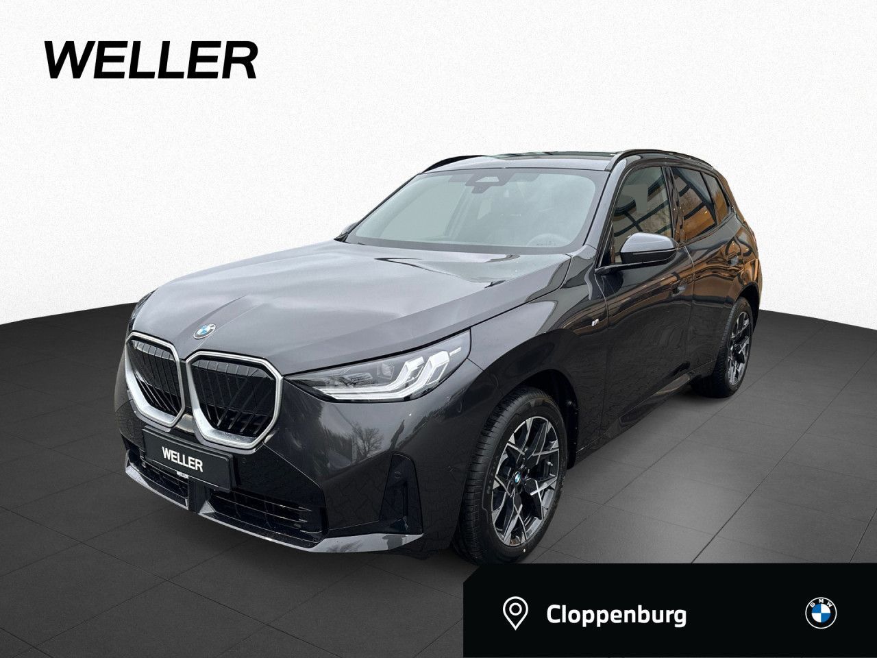 BMW X3 20d xDrive M Sportpaket Navi RFK LkHz PaAss