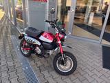 Honda Monkey 125 - HONDA MONKEY