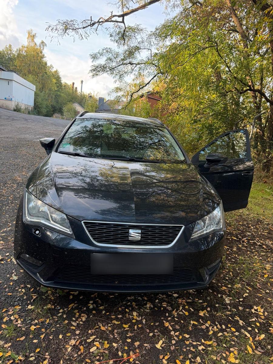 Seat Leon 2014 — rear view