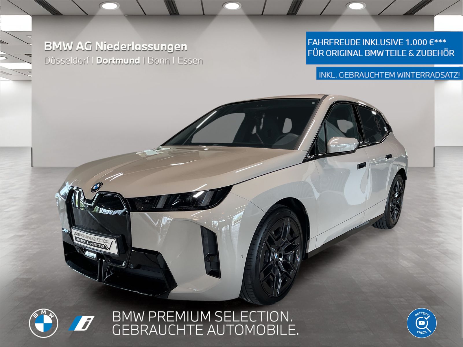BMW iX xDrive45 M Sport AHK Driv.Assist.Prof Kamera